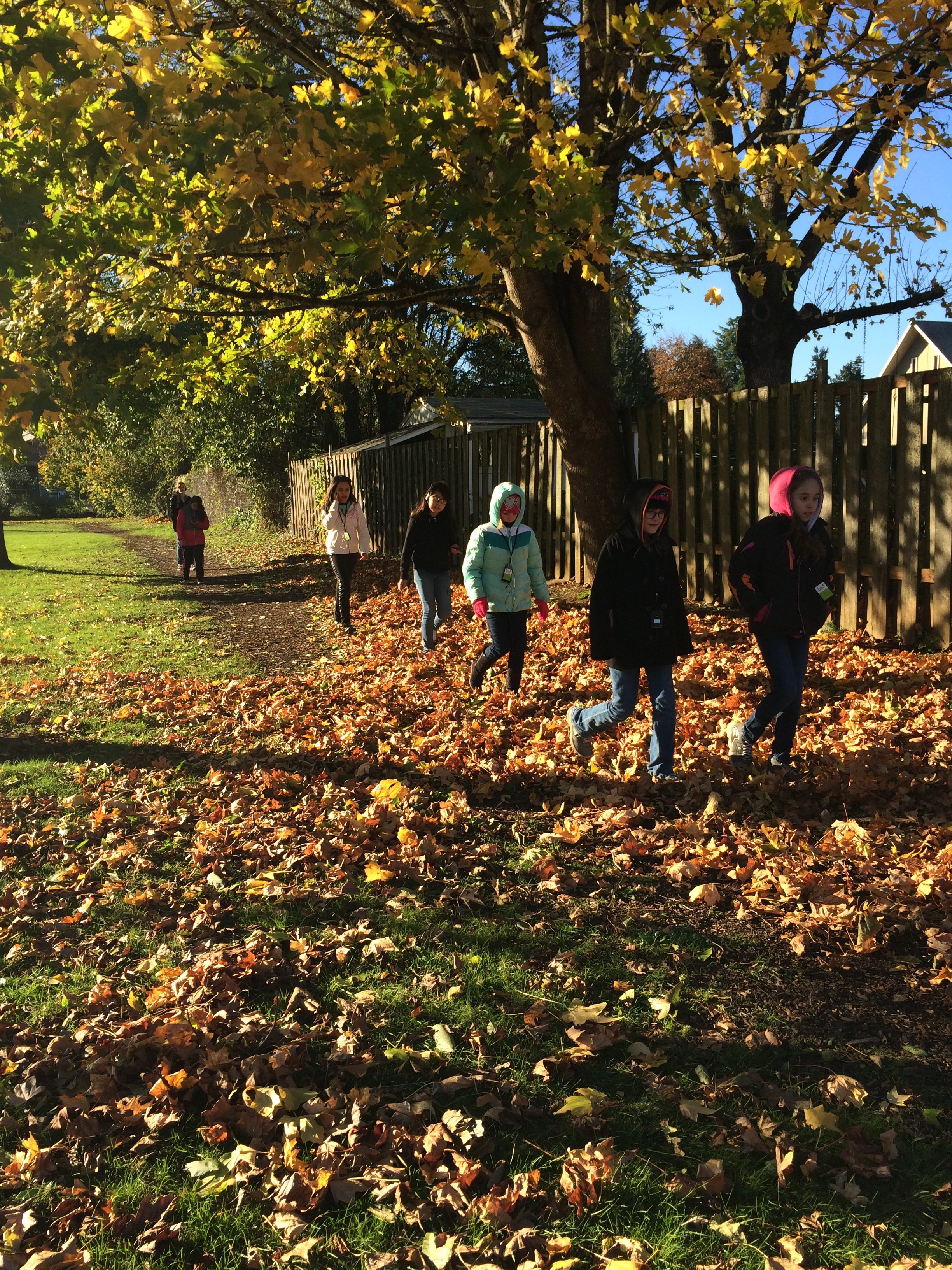 fall walks