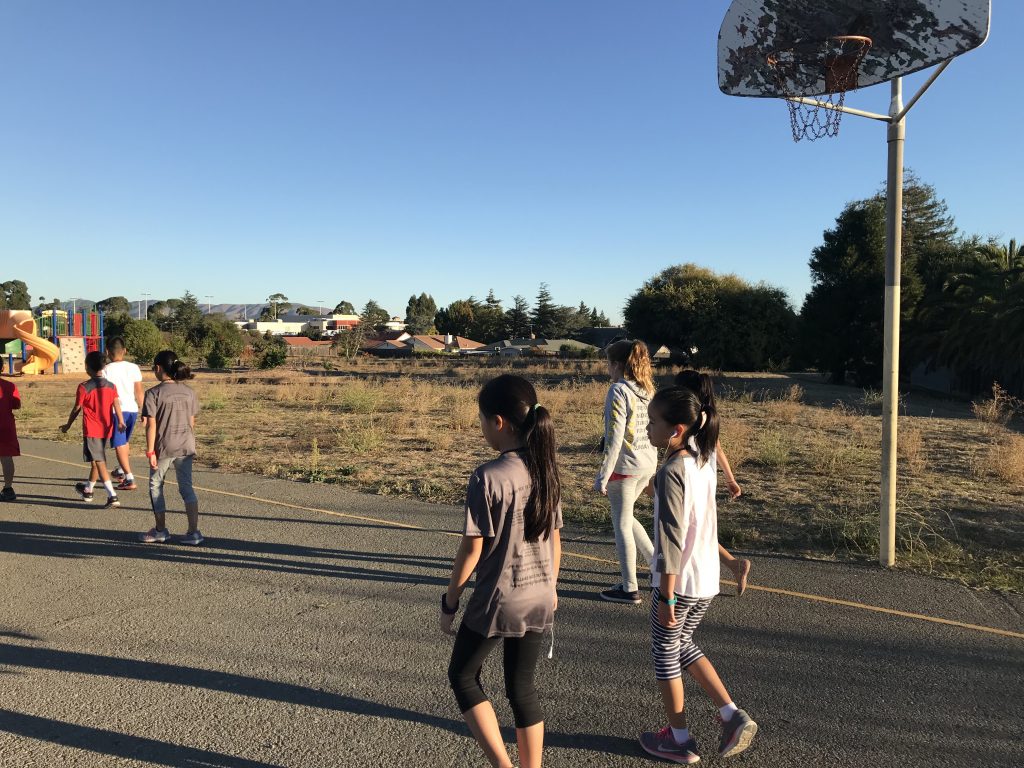 Fun from the Field A Sunny Stroll with Spring Valley Elementary The