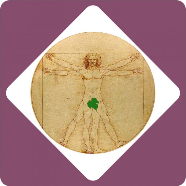 leonardo da vinci podcast