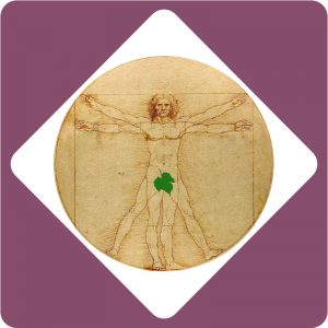 inventors leonardo da vinci podcast bundle